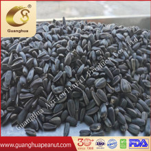 Oil Sunflower Seeds Used for Extracting Sunflower Oil New Crop